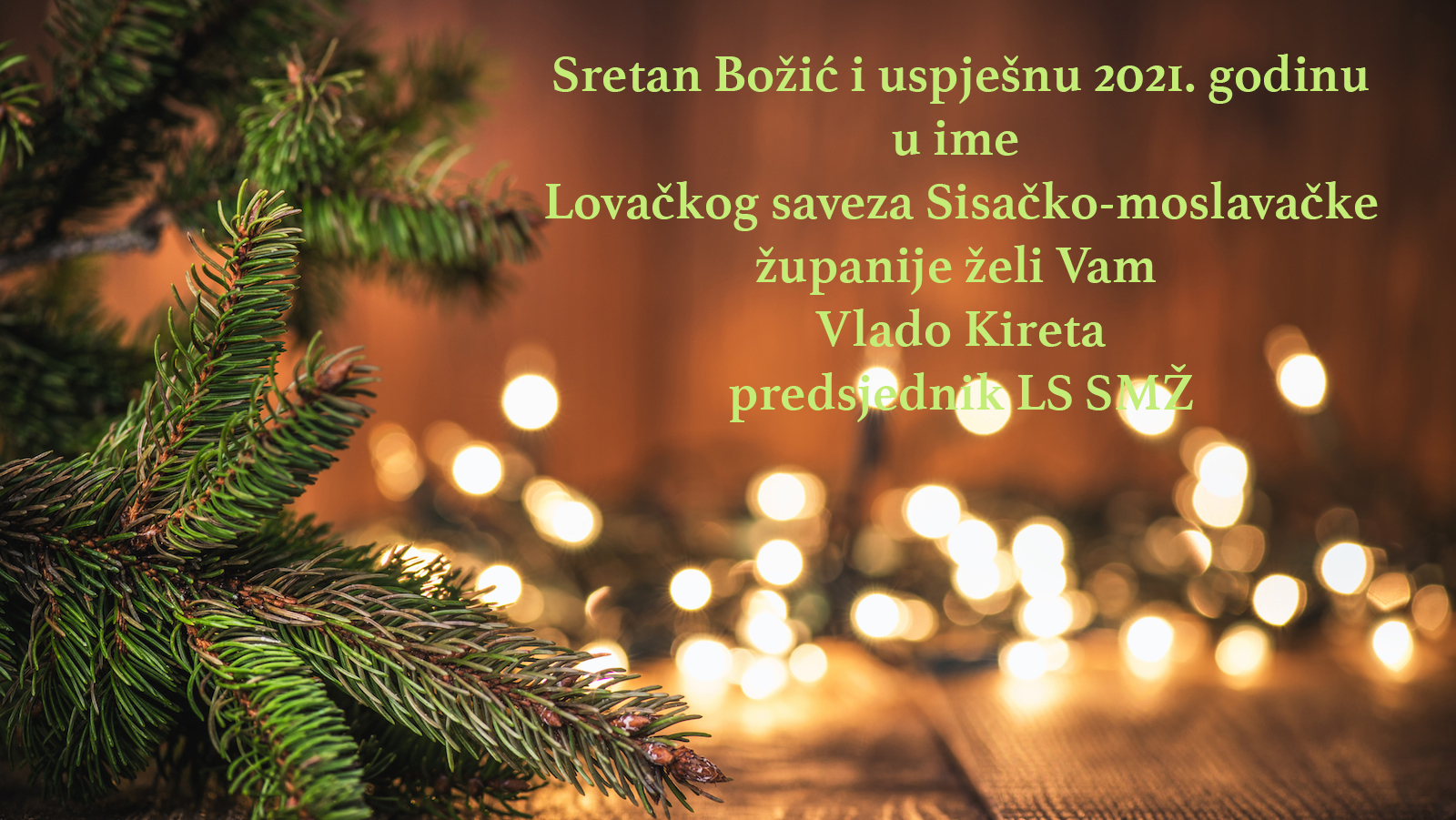 bozic2021lssmz